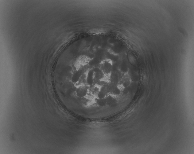 X0000116571393200912241625