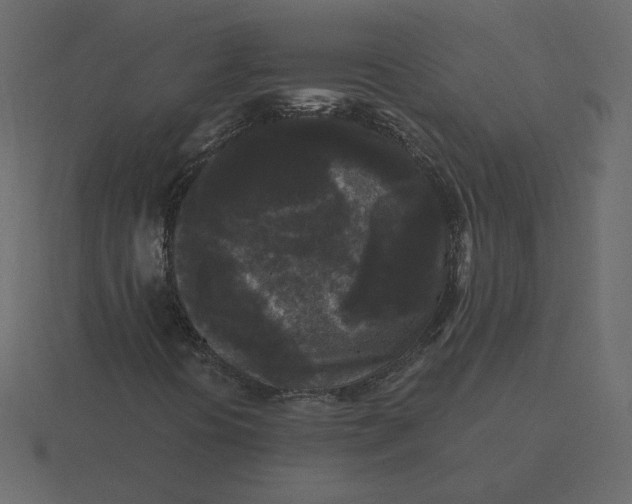 X0000116571394200912241625