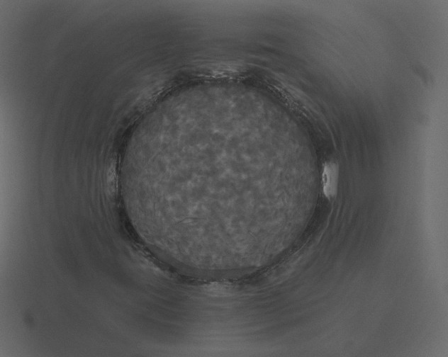 X0000116571395200912241625