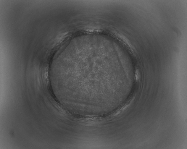 X0000116571396200912241625