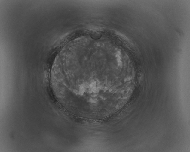 X0000116571397200912241625