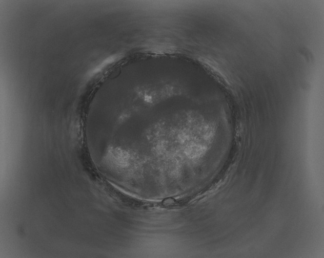 X0000116571398200912241625