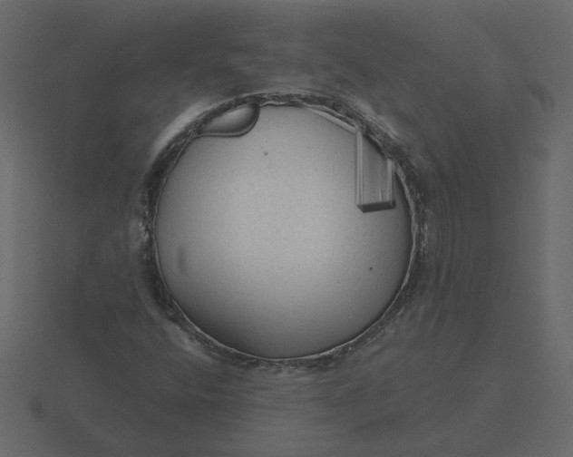 X0000116571400200912241625