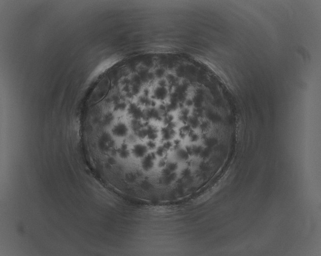 X0000116571402200912241625