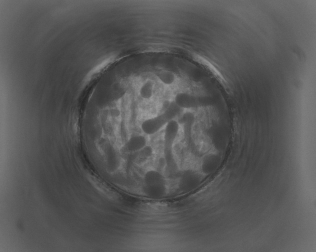 X0000116571403200912241625