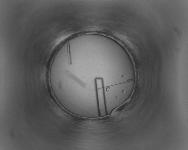 X0000116571404200912241625