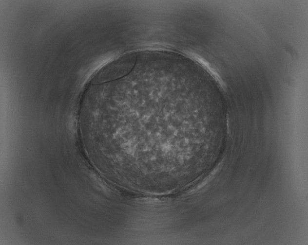 X0000116571405200912241625