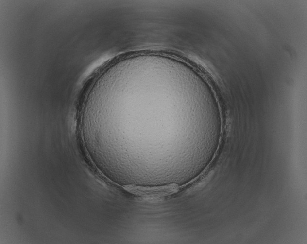 X0000116571406200912241625