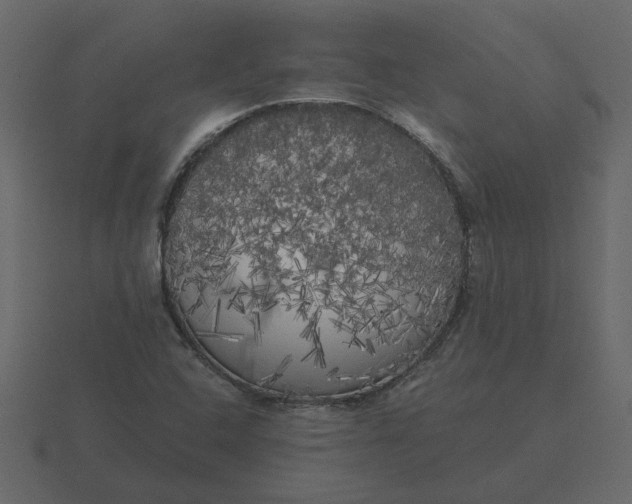 X0000116571408200912241625