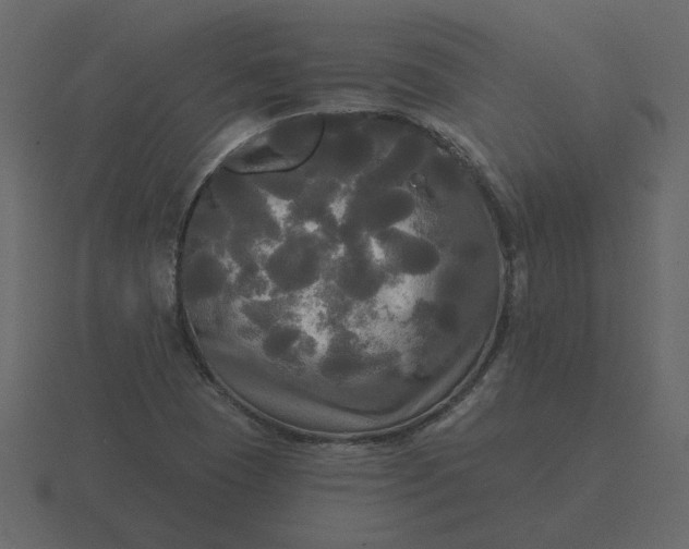 X0000116571409200912241625