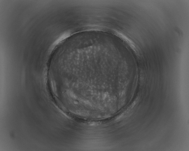 X0000116571411200912241626