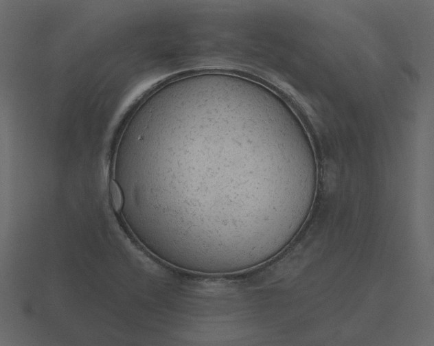 X0000116571416200912241626