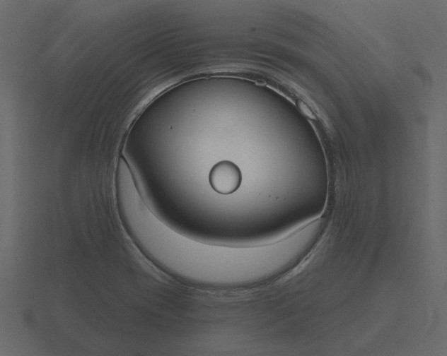 X0000116571417200912241626