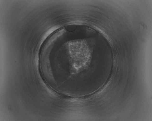 X0000116571418200912241626