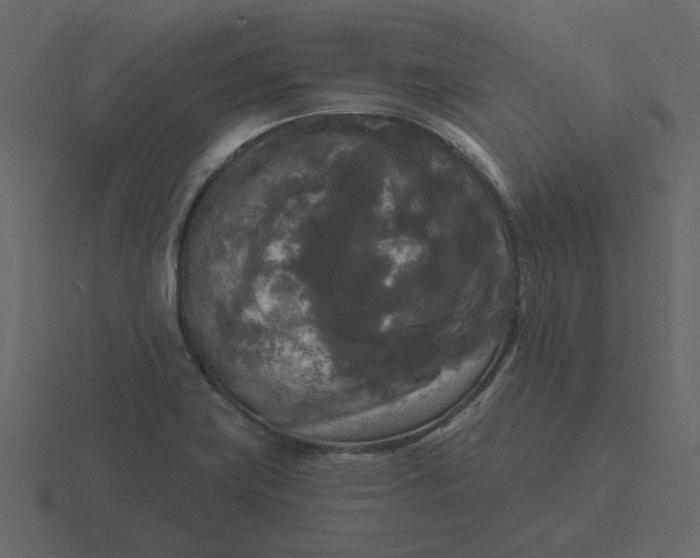 X0000116571419200912241626