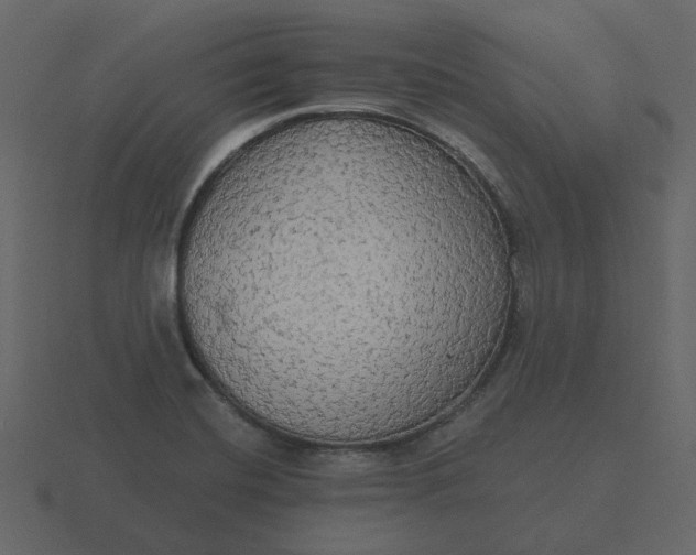 X0000116571420200912241626