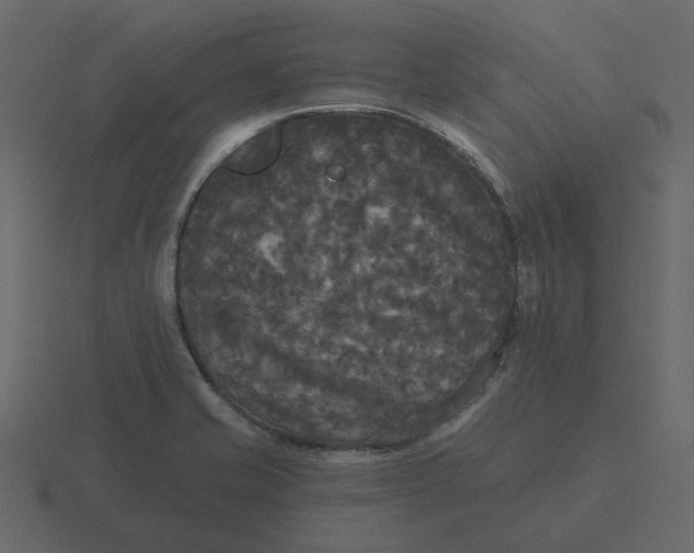 X0000116571421200912241626