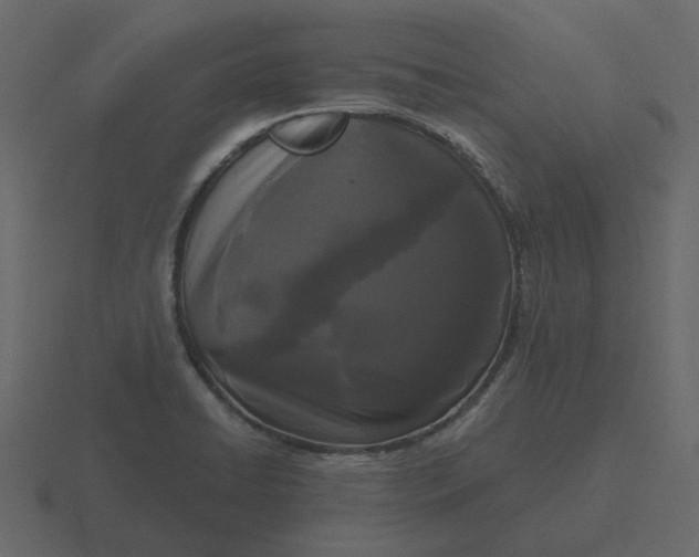 X0000116571422200912241626