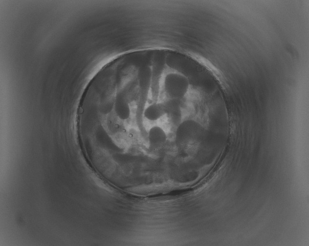 X0000116571423200912241626