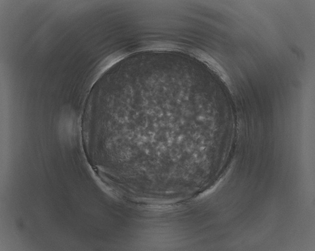 X0000116571425200912241626