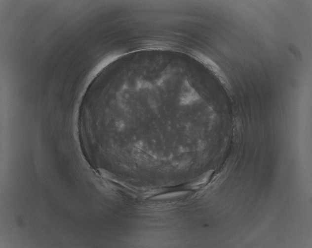 X0000116571427200912241626