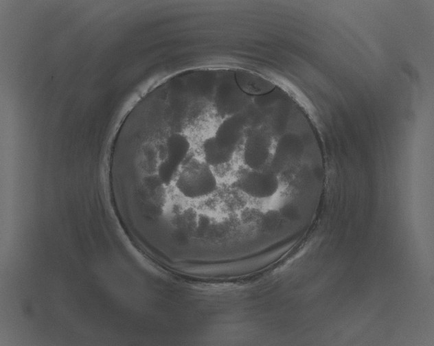 X0000116571429200912241626