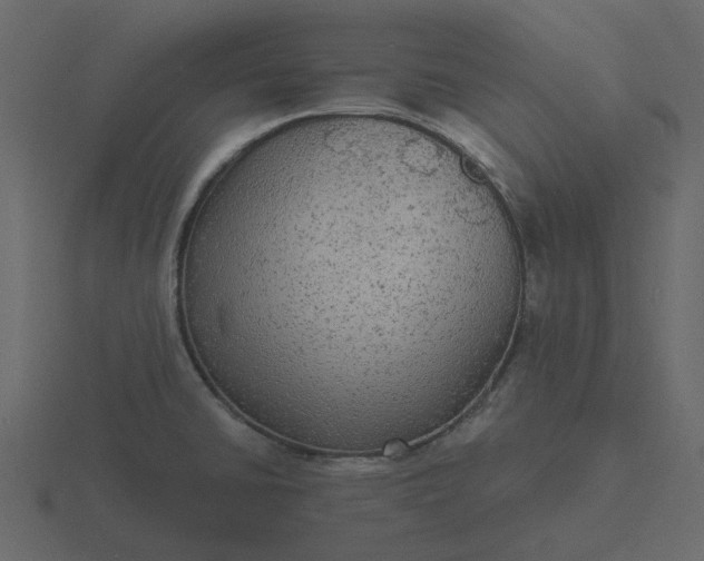 X0000116571430200912241626