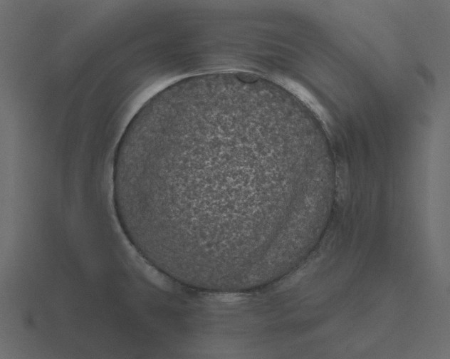 X0000116571431200912241626