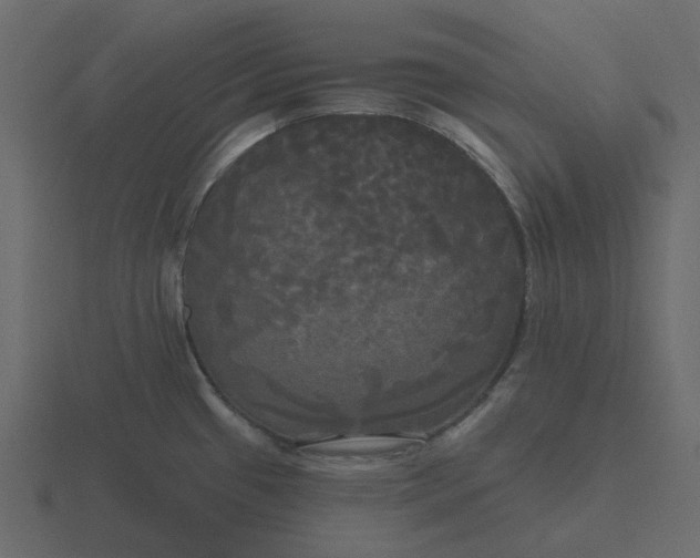 X0000116571433200912241626