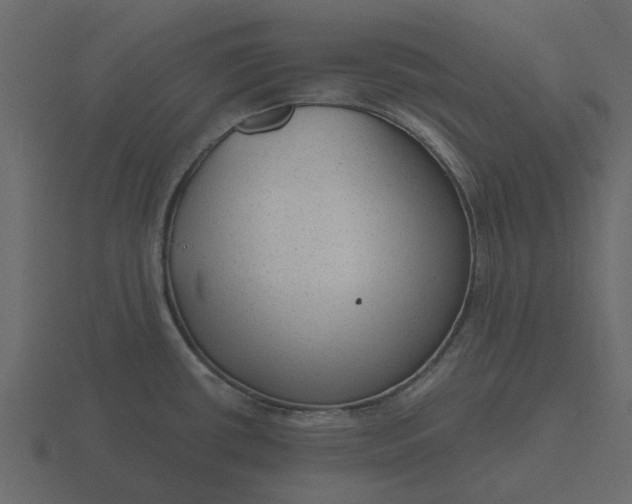 X0000116571434200912241626