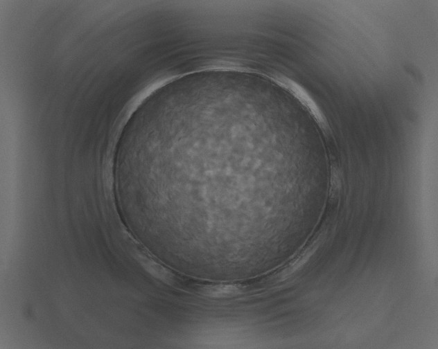 X0000116571435200912241626