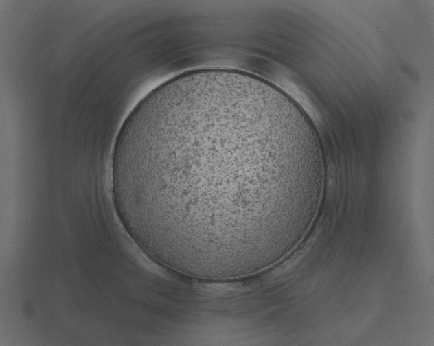 X0000116571436200912241626