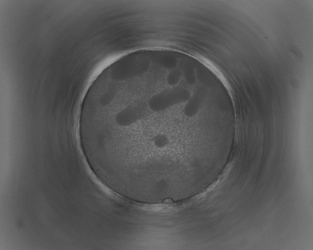 X0000116571437200912241626