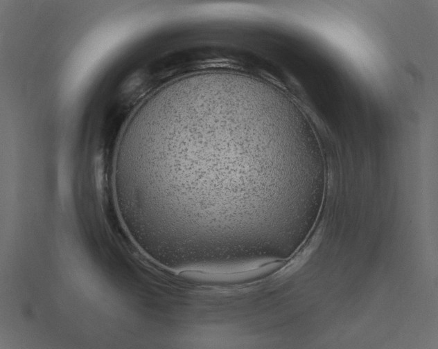 X0000116571438200912241626