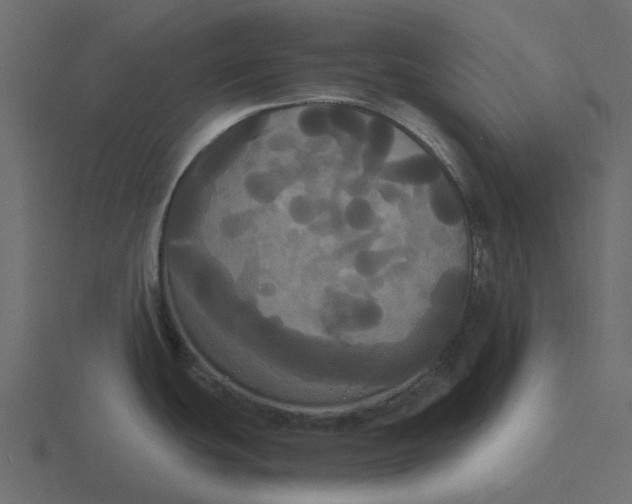 X0000116571439200912241626