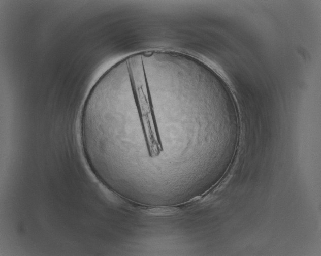 X0000116571440200912241626