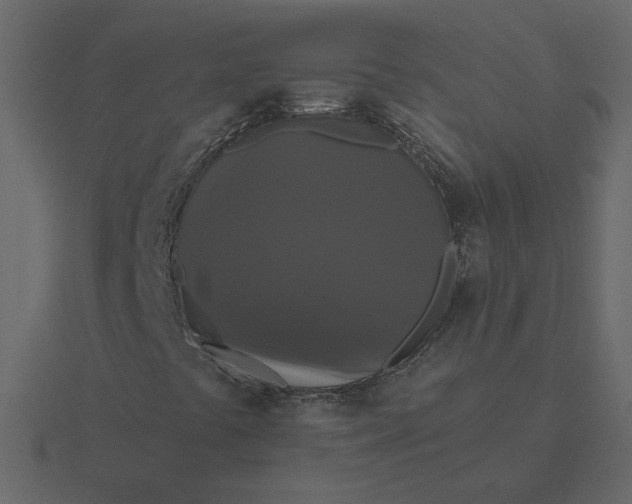 X0000116571441200912241625