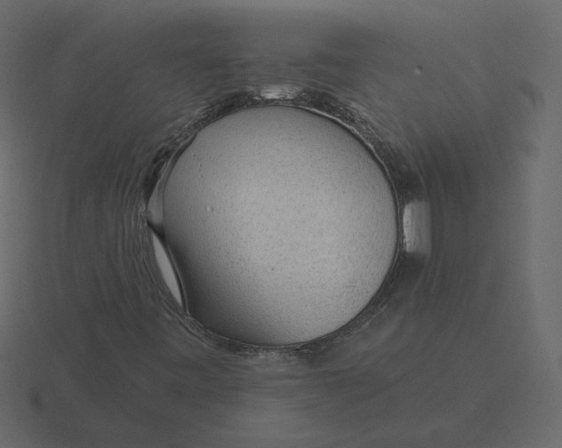 X0000116571443200912241625