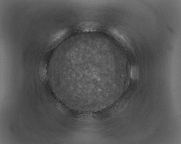 X0000116571444200912241625