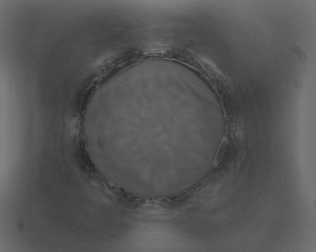 X0000116571445200912241625