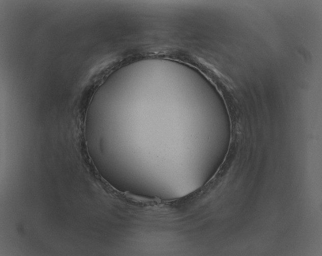 X0000116571447200912241625