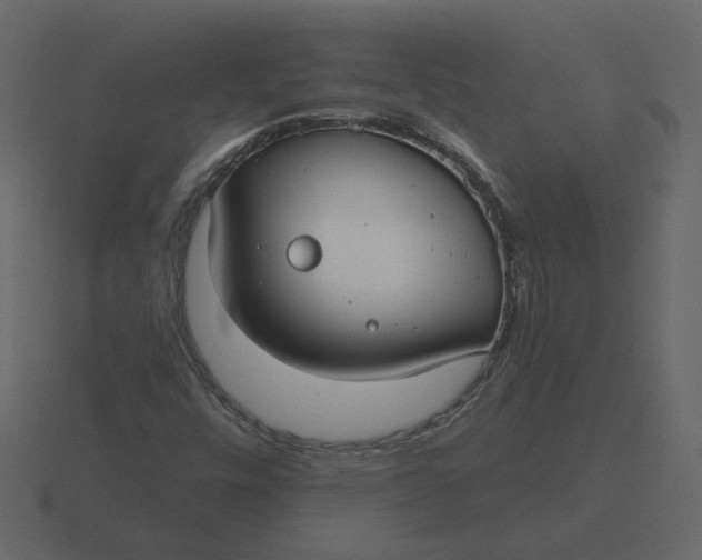 X0000116571448200912241625