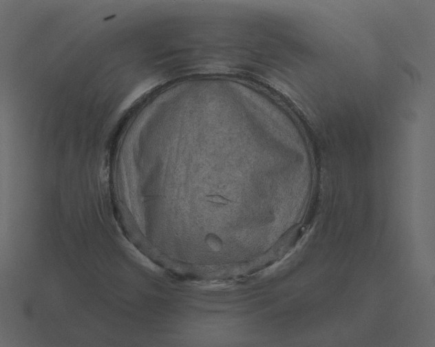 X0000116571450200912241625