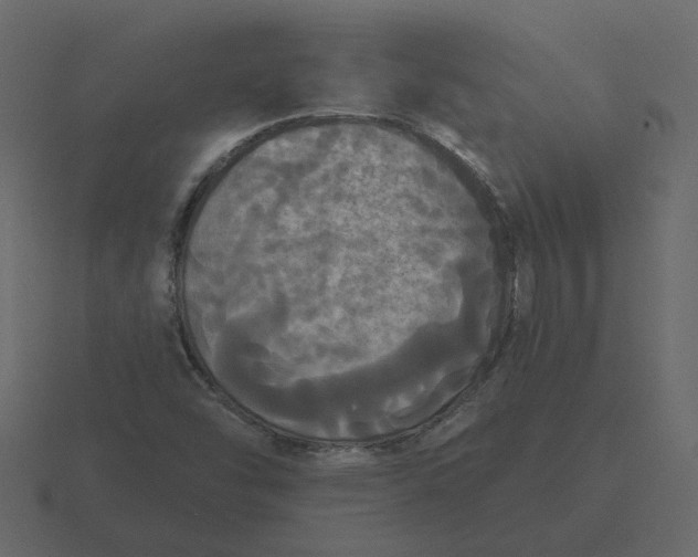 X0000116571454200912241625