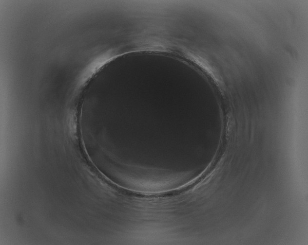 X0000116571455200912241625