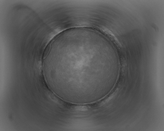 X0000116571457200912241625