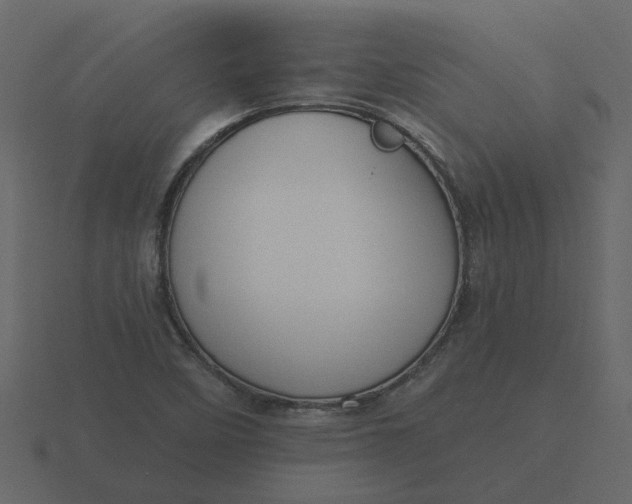 X0000116571458200912241625