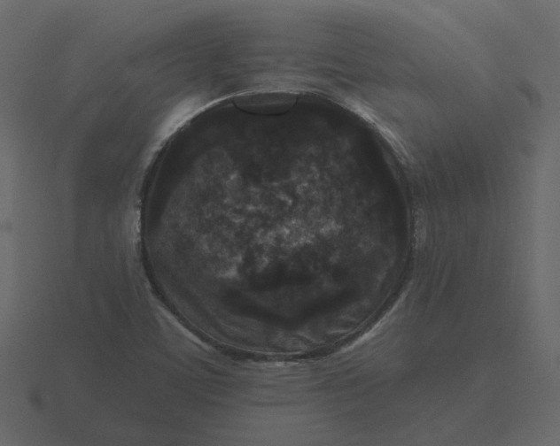 X0000116571459200912241625