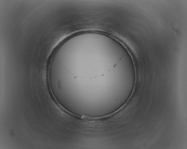 X0000116571460200912241625