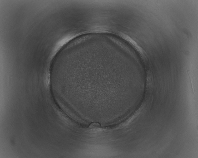 X0000116571461200912241625